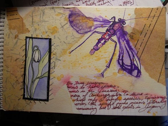 Collage with flower and wasp moth